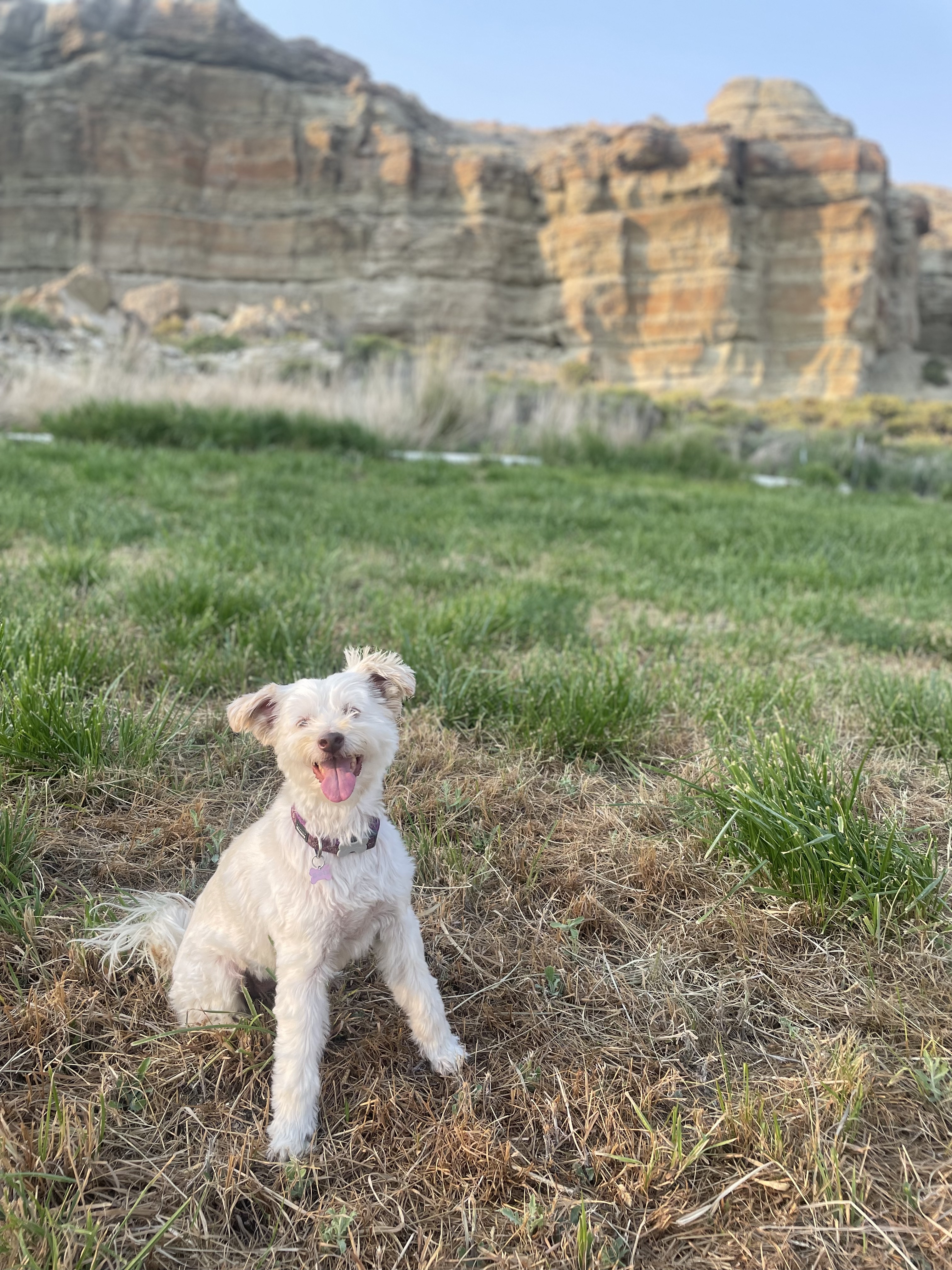 Winnie at Crooked Creek State Park